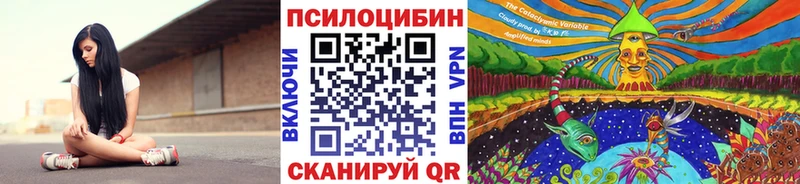 дарнет шоп Владимир OMG как войти Псилоцибиновые грибы GOLDEN TEACHER
