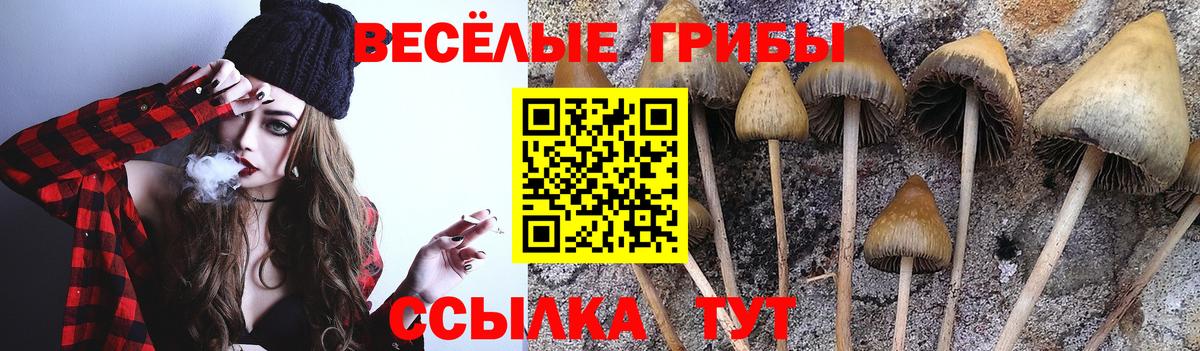 Владимир  Псилоцибиновые грибы Psilocybine cubensis  Вход с VPN  Галлюциногенные грибы мухоморы 